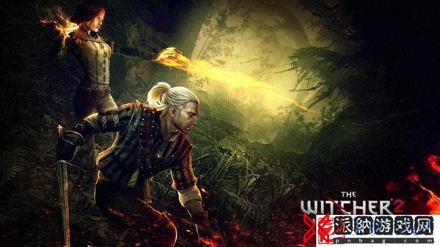 巫师-2：增强版画面设置优化