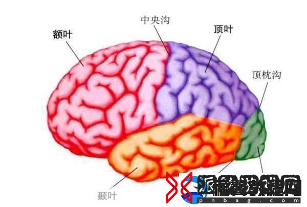 分裂之门2震撼来袭