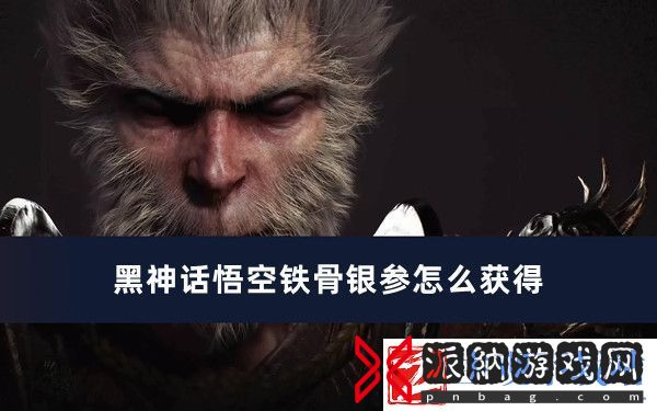 黑神话悟空铁骨银参怎么获得