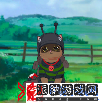 没什么不开心