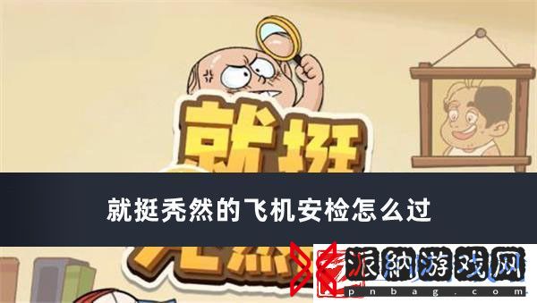 就挺秃然的飞机安检怎么过
