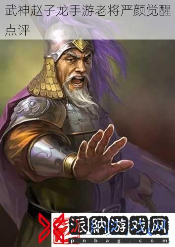 武神赵子龙手游老将严颜觉醒点评