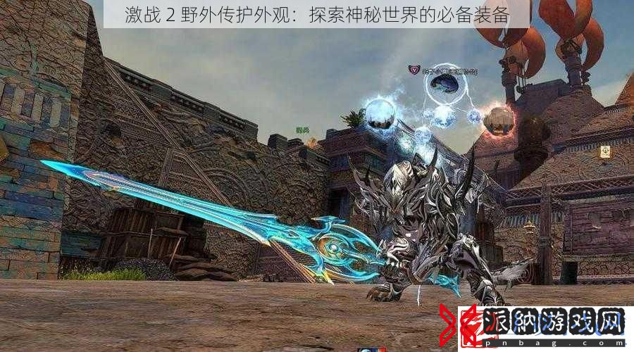 激战-2-野外传护外观：探索神秘世界的必备装备