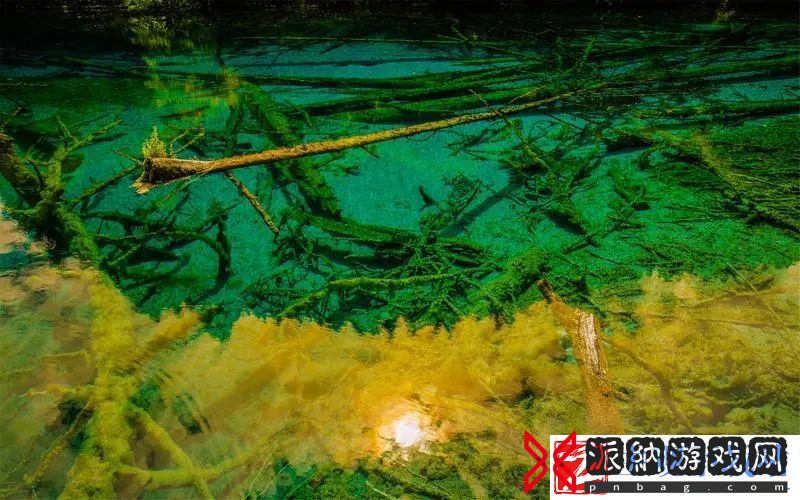 怎么把自己变成喷泉夹枕头