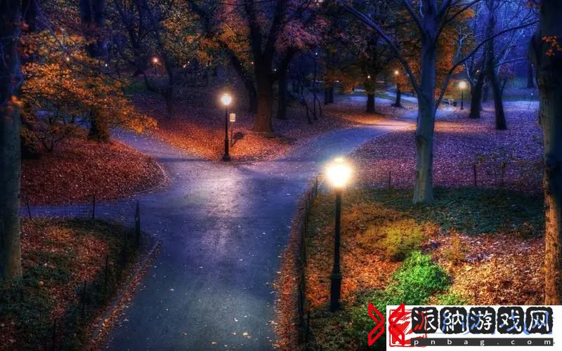 裙子里面什么也别穿