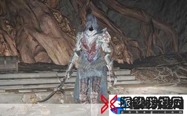 艾尔登法环黑刀怎么加点成为游戏高手的必备攻略