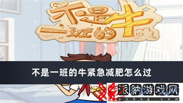 不是一班的牛紧急减肥怎么过