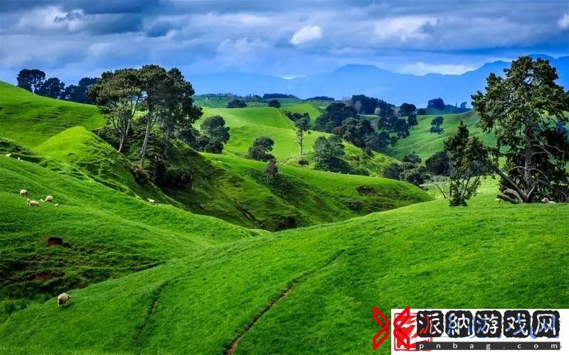姑父有力挺送：亲情与支持的最佳体现！