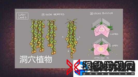 我的世界藤蔓的用途与应用