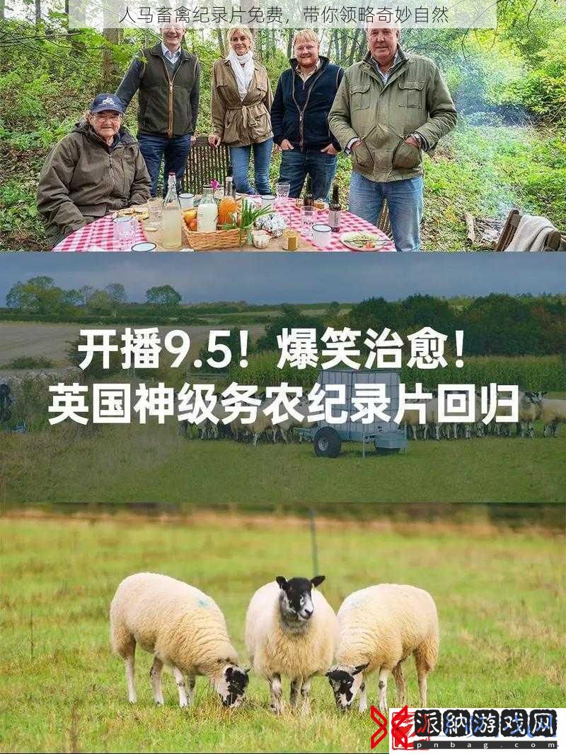 人马畜禽纪录片免费