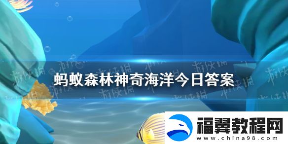 以下哪种珊瑚有音乐珊瑚之称