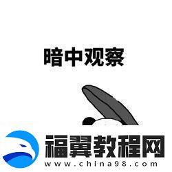 私生饭是什么意思