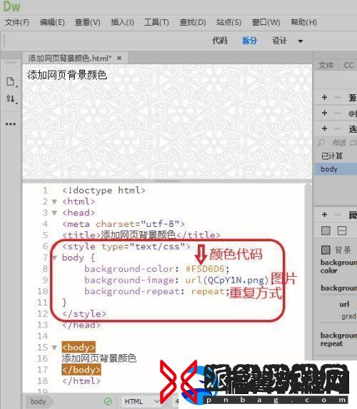 HTML表单