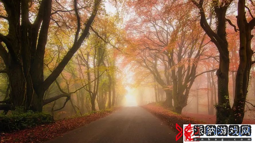 永不迷路黑料爆料