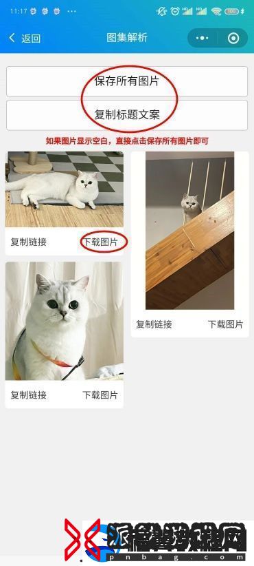 小红书图片无水印保存方法