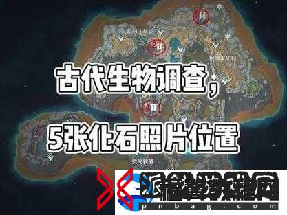 原神世界揭秘