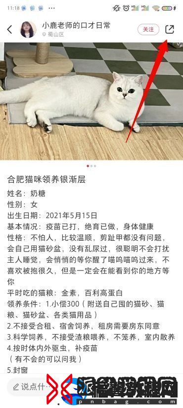 小红书图片无水印保存方法