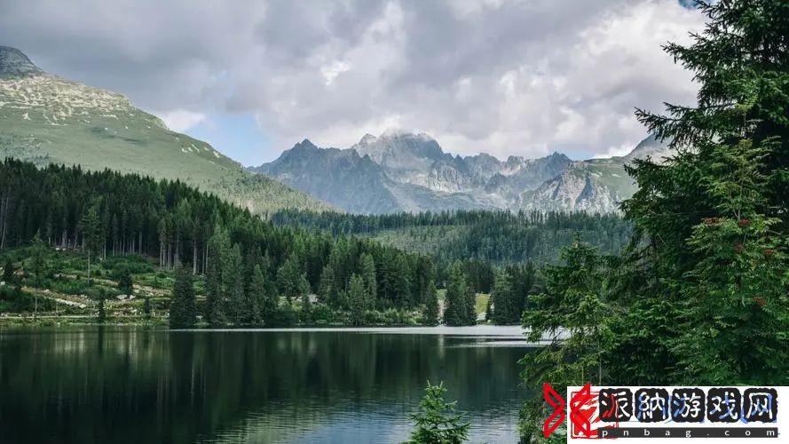 艾尔登法环怎么弹反