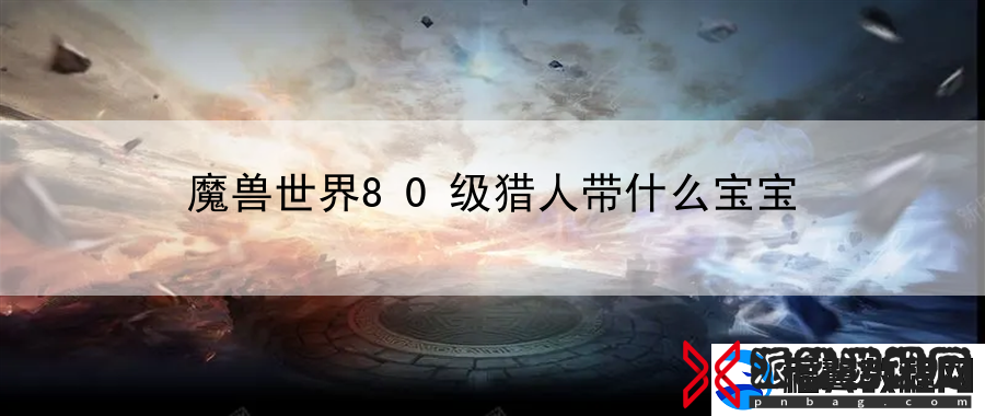 魔兽世界80级猎人带什么宝宝