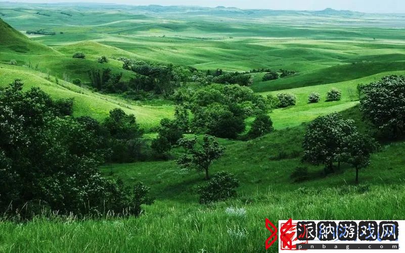 无人区一线二线发展概况