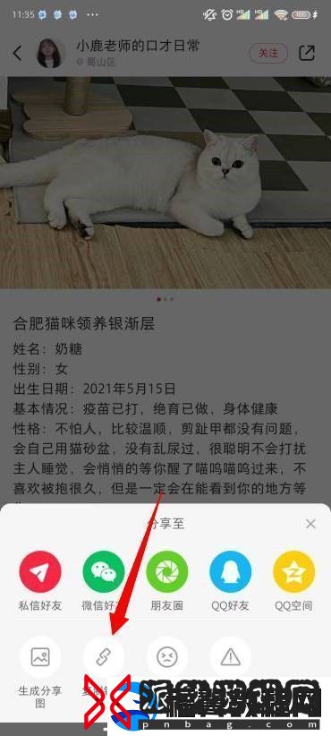 小红书图片无水印保存方法