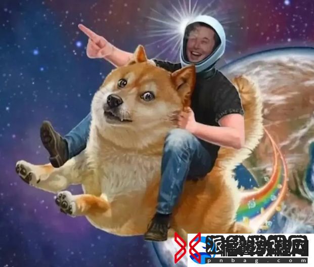 马斯克直言