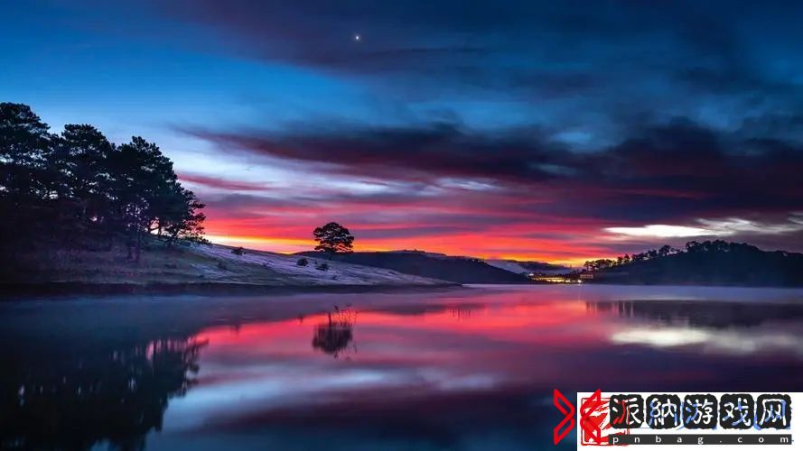 漂亮的领居中文字