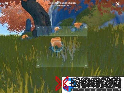 原神手游黄色采集物攻略-具体位置分享