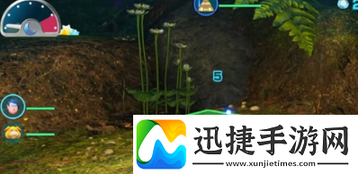 皮克敏4暖阳庭院水里材料怎么拿