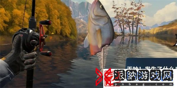 欢乐钓鱼大师咆哮帝怎么钓