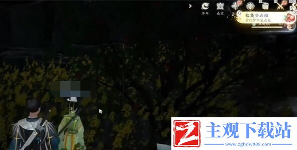 射雕手游安石榴位置在哪