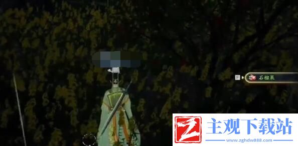 射雕手游安石榴位置在哪
