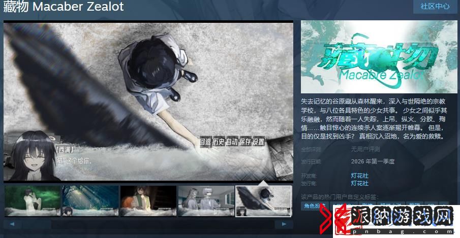 悬疑AVG藏物Steam页面-2026年第一季度发售