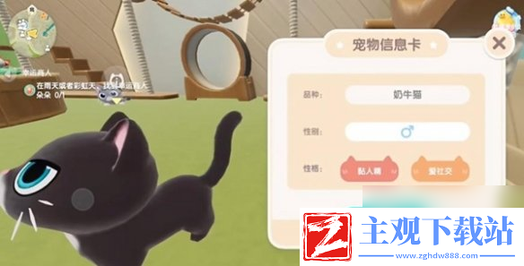 心动小镇怎么养猫
