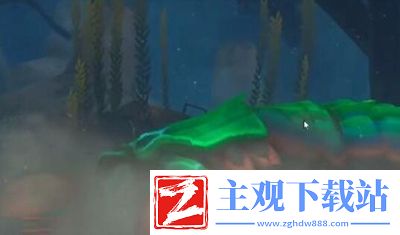 潜水员戴夫螳螂虾怎么打