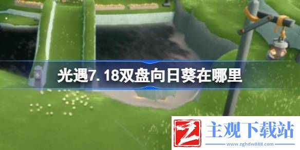 光遇7.18双盘向日葵在哪里