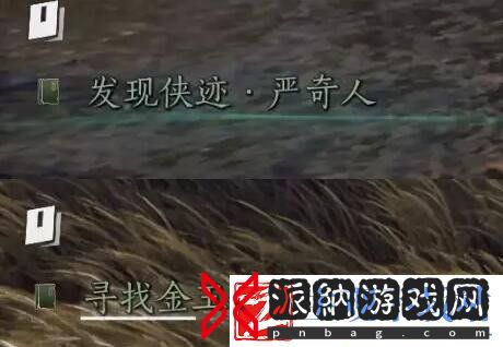 燕云十六声侠迹卷三严奇人任务怎么完成