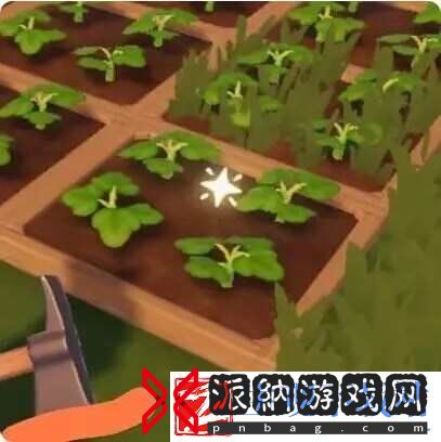 心动小镇花卉怎么杂交