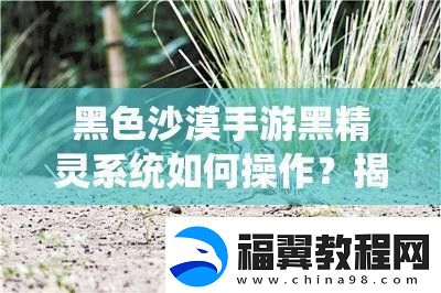 黑色沙漠手游黑精灵系统如何操作
