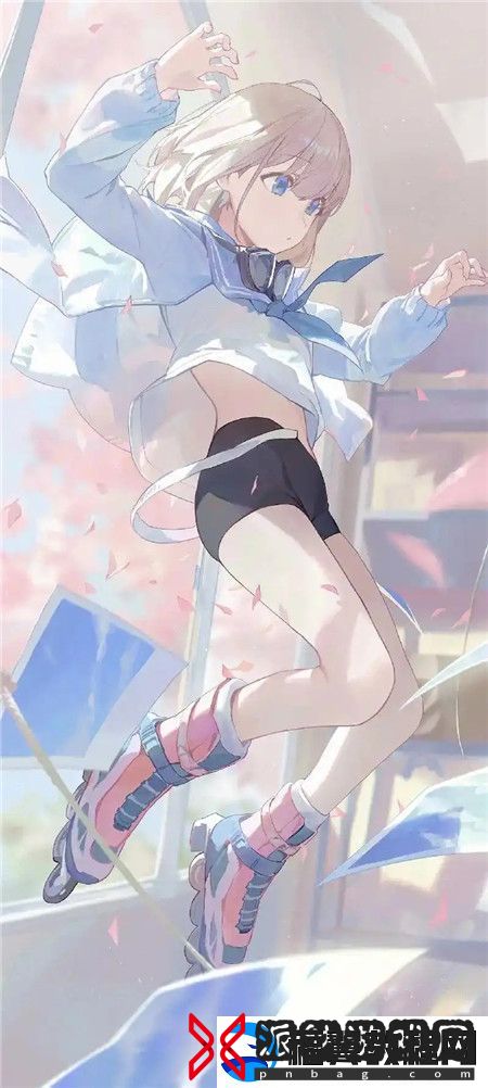 抖抈app入口免费
