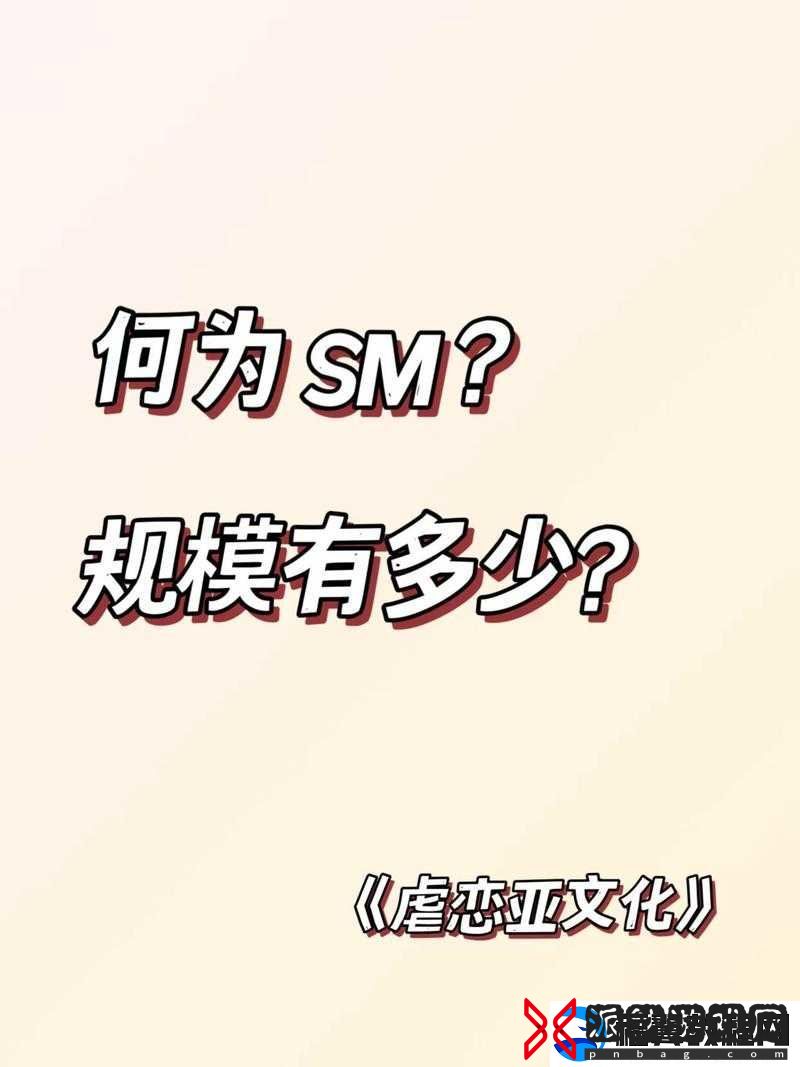S训练m的70条憋尿规矩究竟是怎样的-全面解析与探讨或者关于-S-训练-m-的-70-条憋尿规矩-你想知道的都在这里