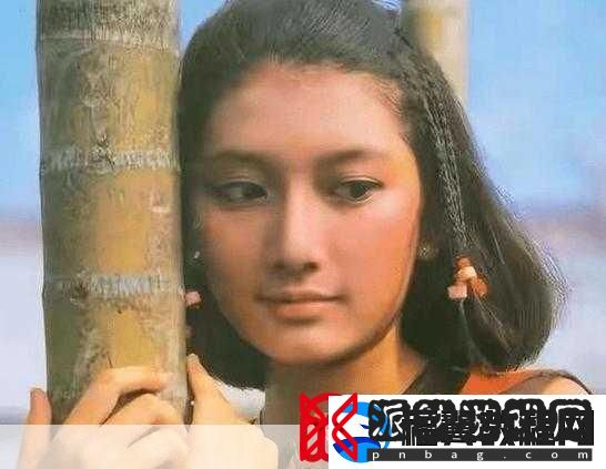 白洁赵敏张倩白洁与赵敏