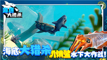 博德之门3解包动画的样式探索：揭秘游戏中的动画创作与技术细节