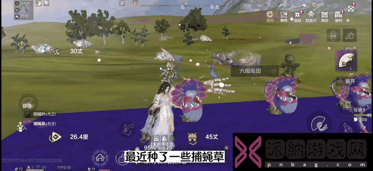 妄想山海捕蝇草刷新地点全揭秘