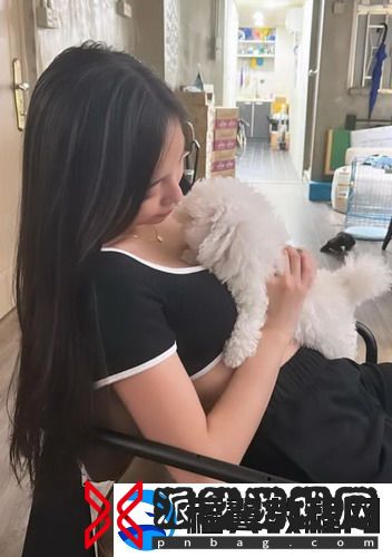 如何免费观看在线高清电视剧？轻松享受精彩内容！