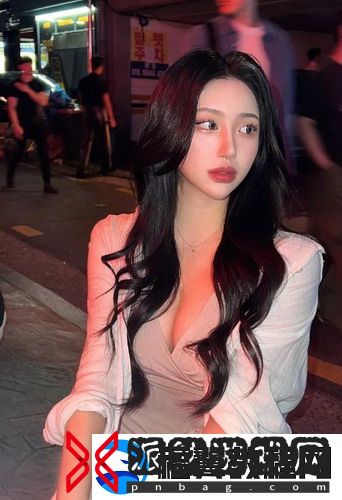 AAAA级毛与AAAA的区别是什么？-深入了解这两者的本质差异