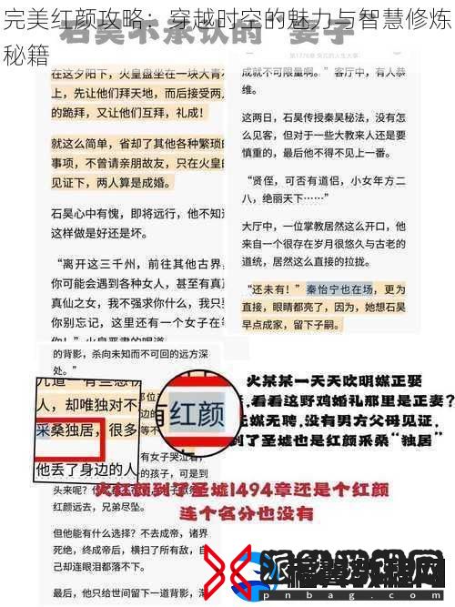 完美红颜攻略