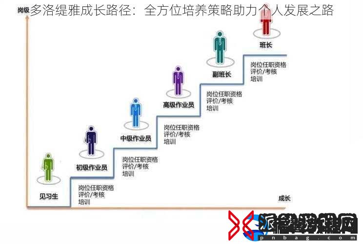 多洛缇雅成长路径：全方位培养策略助力个人发展之路