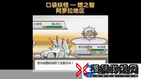 口袋妖怪燃之智