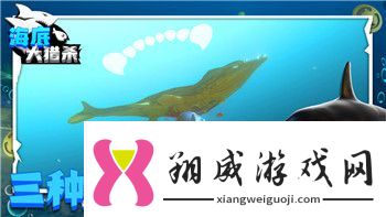 只只大冒险双人模式第一关详细攻略与挑战分析